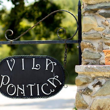 Villa Pontica София Экстерьер фото