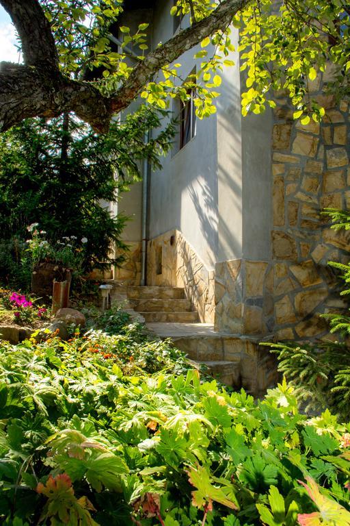 Villa Pontica София Экстерьер фото