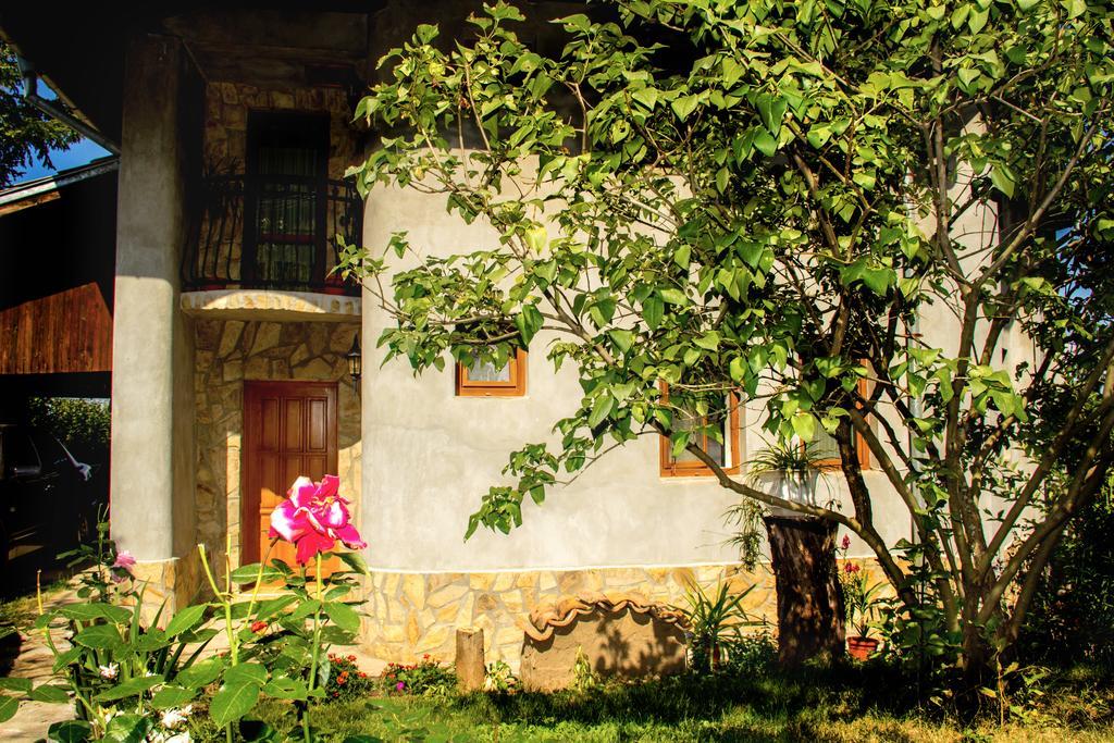 Villa Pontica София Экстерьер фото